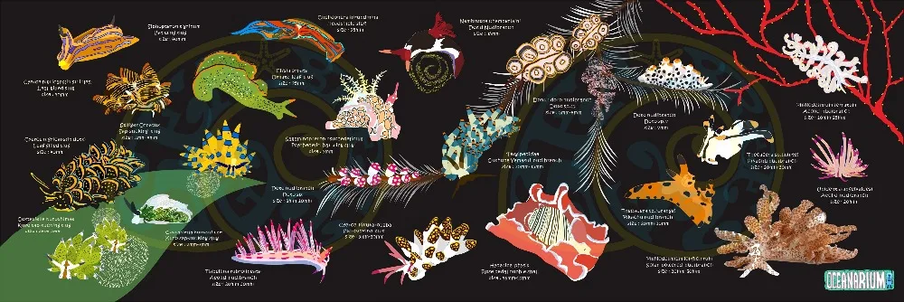 Океанариум T13 черное сухое полотенце NUDIBRANCH 80 см X 140 см