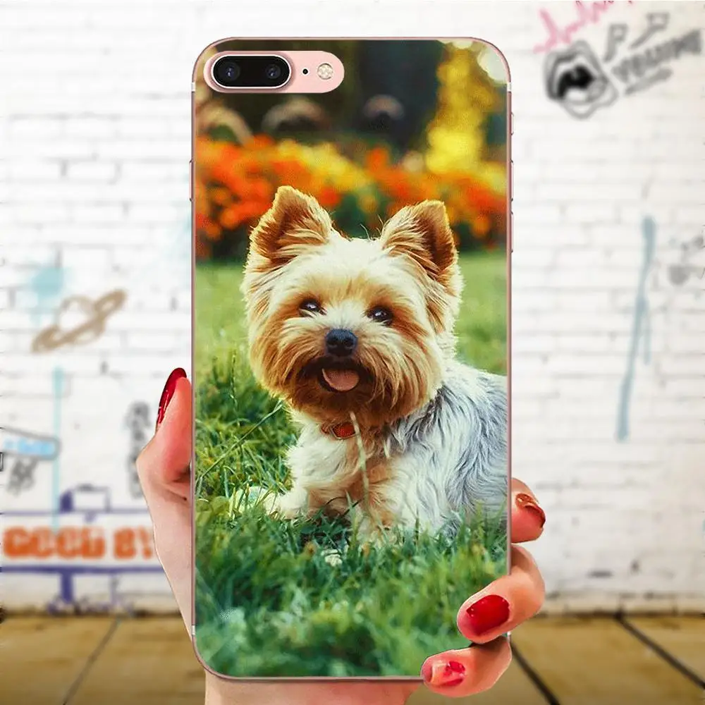 Yorkshire Terrier For Xiaomi Redmi Note 2 3 3S 4 4A 4X 5 5A 6 6A Pro Plus Soft TPU Mobile Phone | Мобильные телефоны и