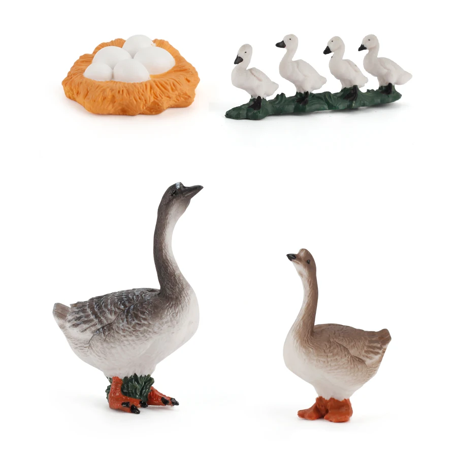 

Simulation Poultry Growth Cycle Chichen,Goose,Duck Life Circle Domestic Bird Plastic Models Action Figures Educational Kids Toy