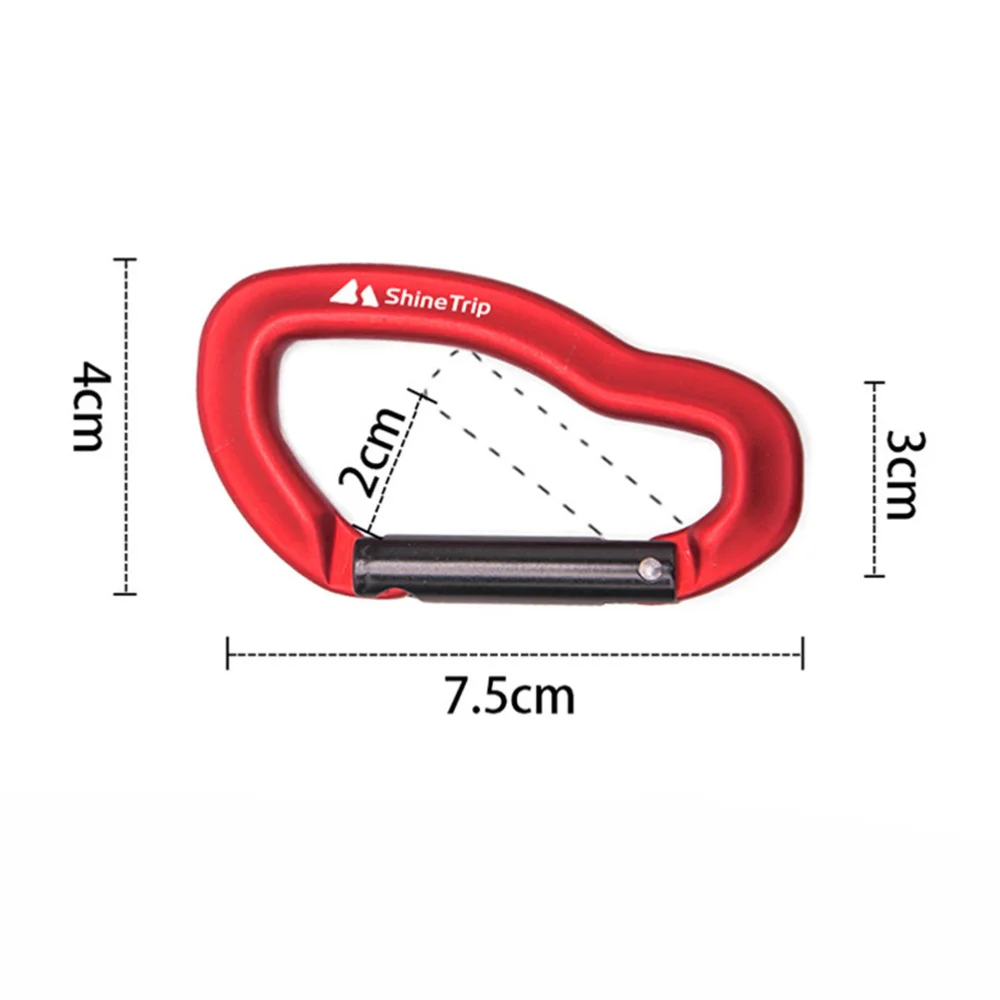 

2pcs Aluminum Alloy D-Ring Outdoor Camping Hook Professional Camping Accessory