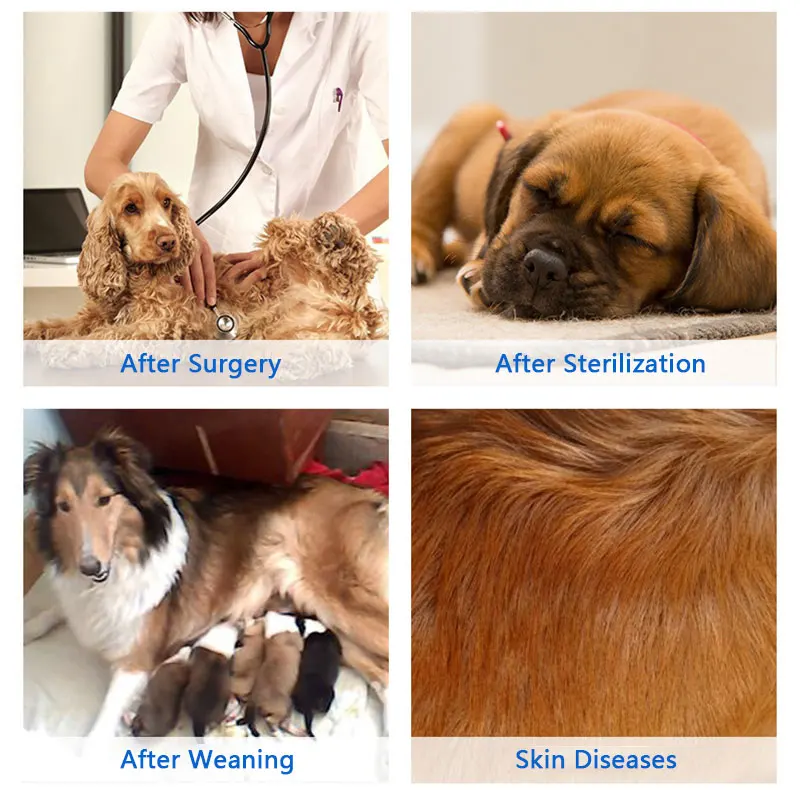 Новинка 2019 одежда для хирургического восстановления животных ран кожных