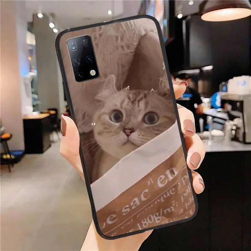 

Cat Cute Animal Phone Case for Samsung Galaxy S10 S20 S21 5G Ultra Plus Lite Cover S9 S8 S7 Fundas Coque Etui