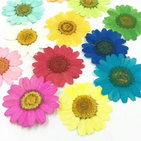 12pcs pressed dried natural flower epoxy resin nail craft diy phone decoration