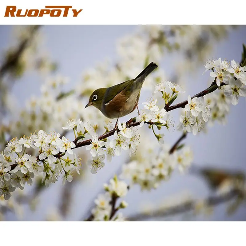 

RUOPOTY Diamond Painting Full Square/Round Bird Diamond Embroidery Mosaic Sale Animal Decor For Home Wall Art