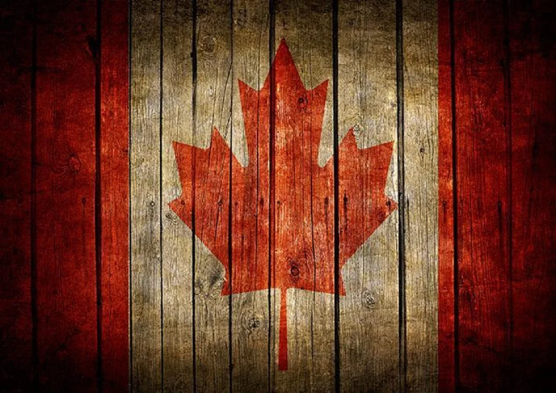 

Wood Backdrop Canada Flag Background Vinyl Background Cloth Family Portrait Party Photo Props