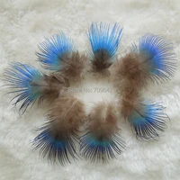 %d0%bf%d0%b0%d0%b2%d0%bb%d0%b8%d0%bd 200pcslot approx 2 4cm vibrant iridescent blue body plumage featherssmall loose feathers for jewelry making