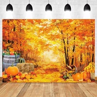 autumn forest fallen leaves pumpkin farm baby painting backdrop vinyl photography background photographic photophone photozone