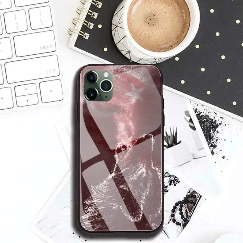 

Turkey Flag Soldier Phone Case Tempered Glass Fundas Coque for iphone 12 mini 11 Pro Max 7 8 PLUS 6s XR Back Cover Case