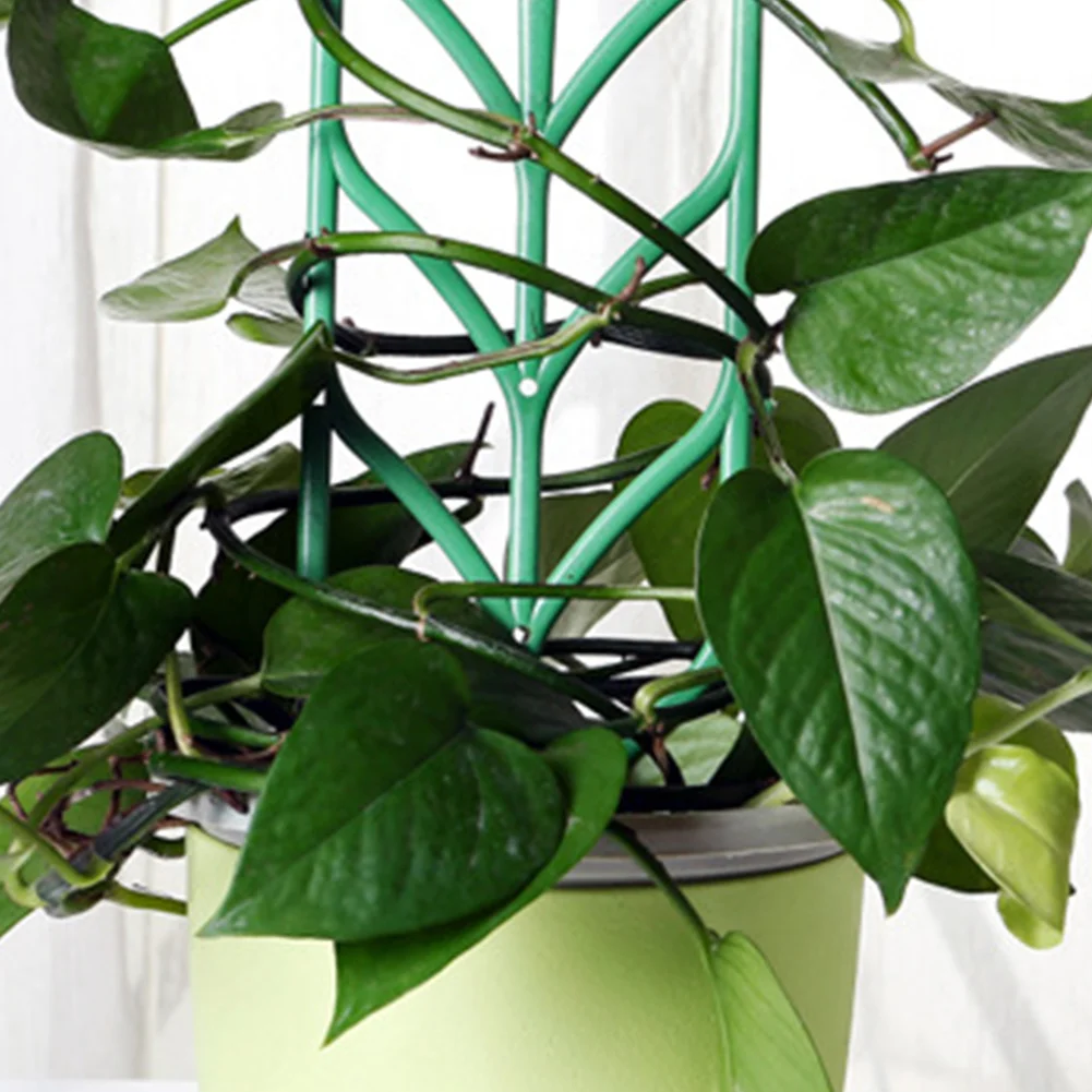 

3 Pcs Trellis Support Plant Frame DIY Climbing Artificial Garden Tool Flower Rack Stand Mini