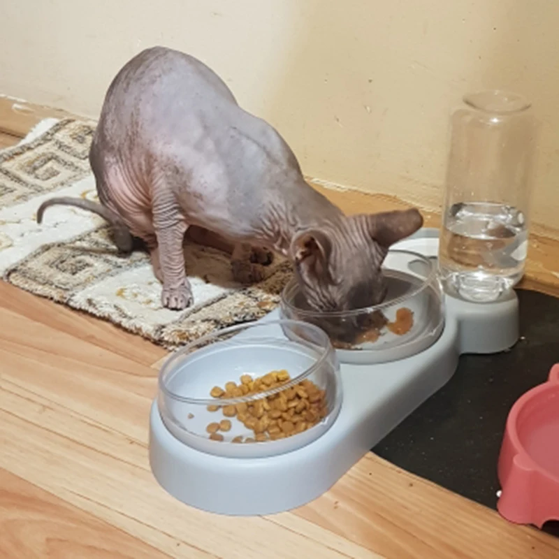 

Dog Cat Bowl Feeder 3 In 1 Pet Feeder And Automatic Water Dispenser Cat Accessories For Small Medium Size Dog Cat Gamelle Chat