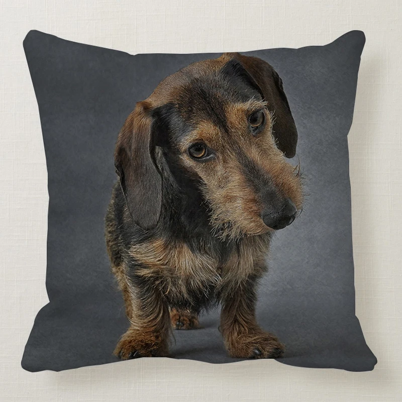 1 шт. 45*45 см милая собака подушка чехол Wirehaired подушки с таксой диван кровать автомобиль подушка чехол Спальня украшение в виде таксы Подушка бухта