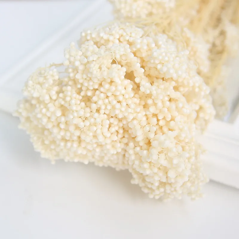 

Натуральные сухие цветы ротанг для декора