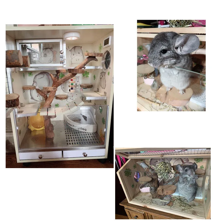 

Hamster, Golden Bear, chinchilla, toy hamster, climbing apple tree stump, decorating tree fork, jumping platform, pet molars