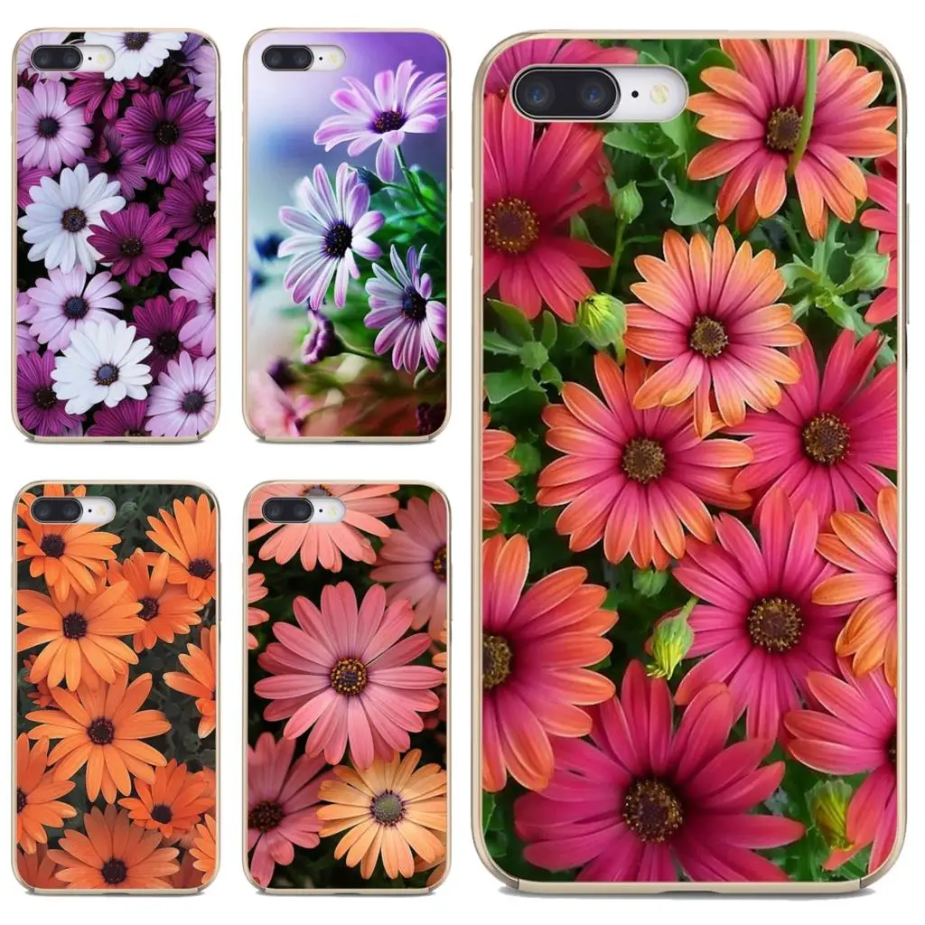 Мягкие Чехлы Фиолетовый Osteospermum Akila Mix для Apple iPhone 10 11 12 Pro Mini 4S SE 5C 6 6S 7 8 X XR XS Plus Max