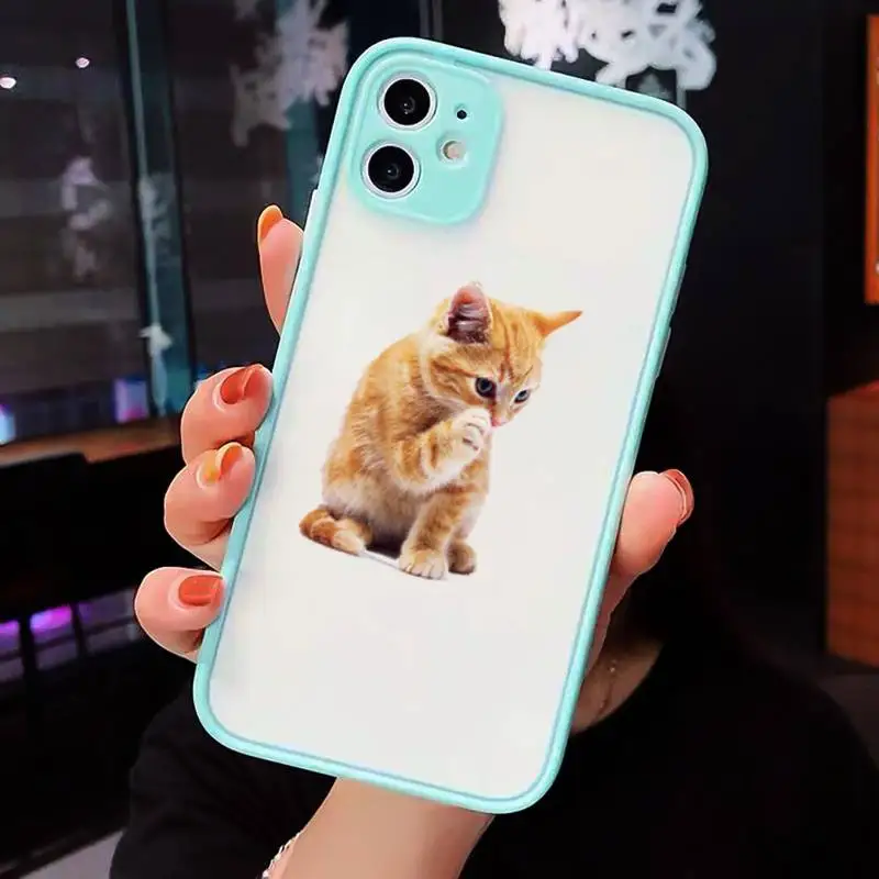 

cat Phone Cases matte transparent For blue iPhone 7 8 x xs xr 11 12 pro plus max mini Clear Funda