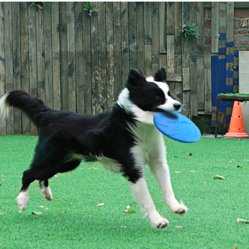 

Thickened Dog Flying Saucer Dog Toy Beach Outdoor Game Flying Saucer Soft Non-Slip Pet Puppy Training Interactive Dog Supplies