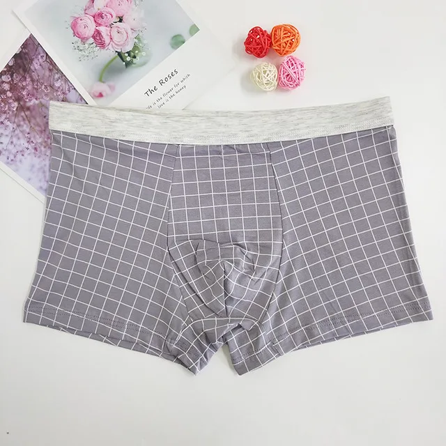 E Deep Gray Новинка, мужские боксеры, нижнее белье, хлопок, дышащие, Cueca Masculina, Мужские боксерские шорты, мужские трусы, клетчатые мужские трусы, 2XL-4XL - Цвет: E Deep Gray
