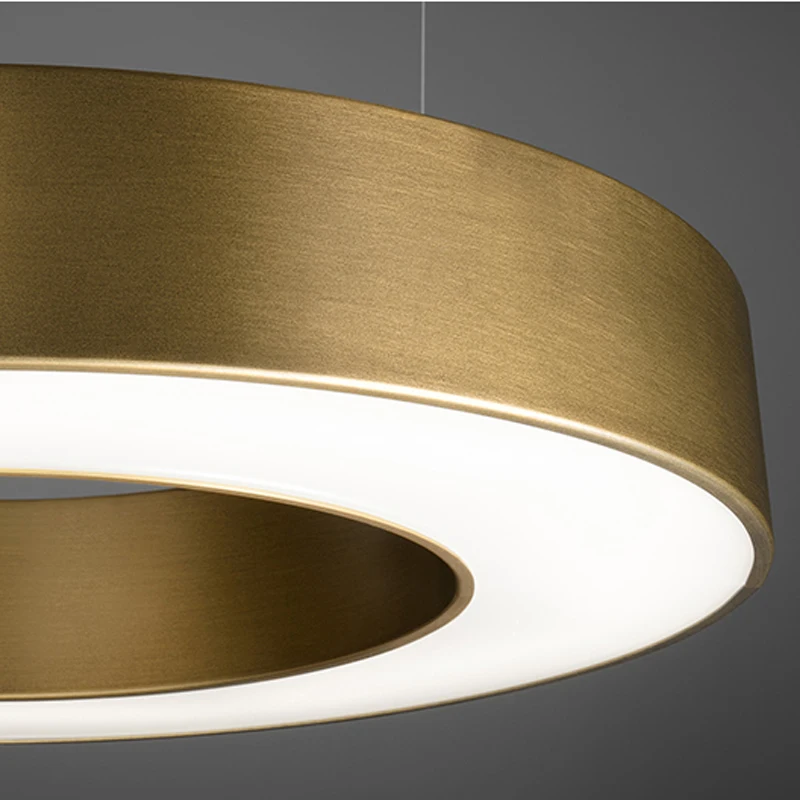 

Modern Circle LED Chandelier lighting Designer Round Suspension For Hall/Living Room Gold LED Lamp