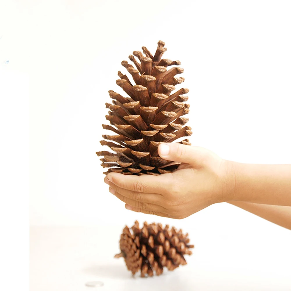 4 шт. 10-14 см большой размер натуральные рождественские украшения большие сосновые