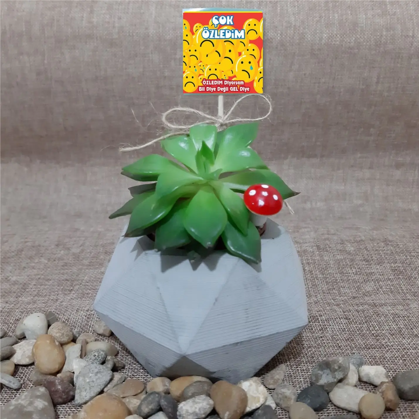 

Handmade Natural Concrete Pot-3