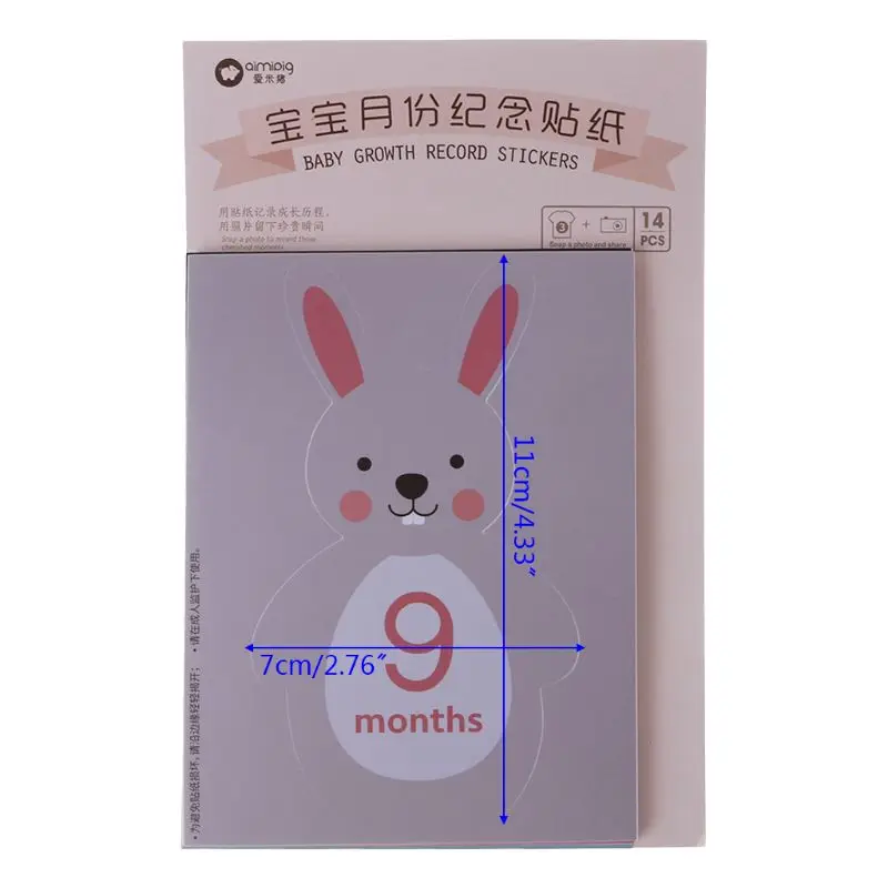 

14 Pcs Month Sticker Baby Newborn Pregnant Photography Decoration Props Photo Adhesive Landmark Monthly Label Floral Stickers