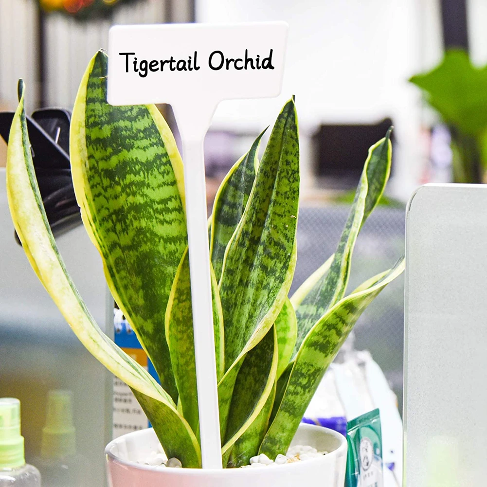 

10PCS Solid Color Plastic Garden Tags T-Type Plant Label Reusable Nursery Marker for Seed Sign PVC Gardening Labels Waterproof