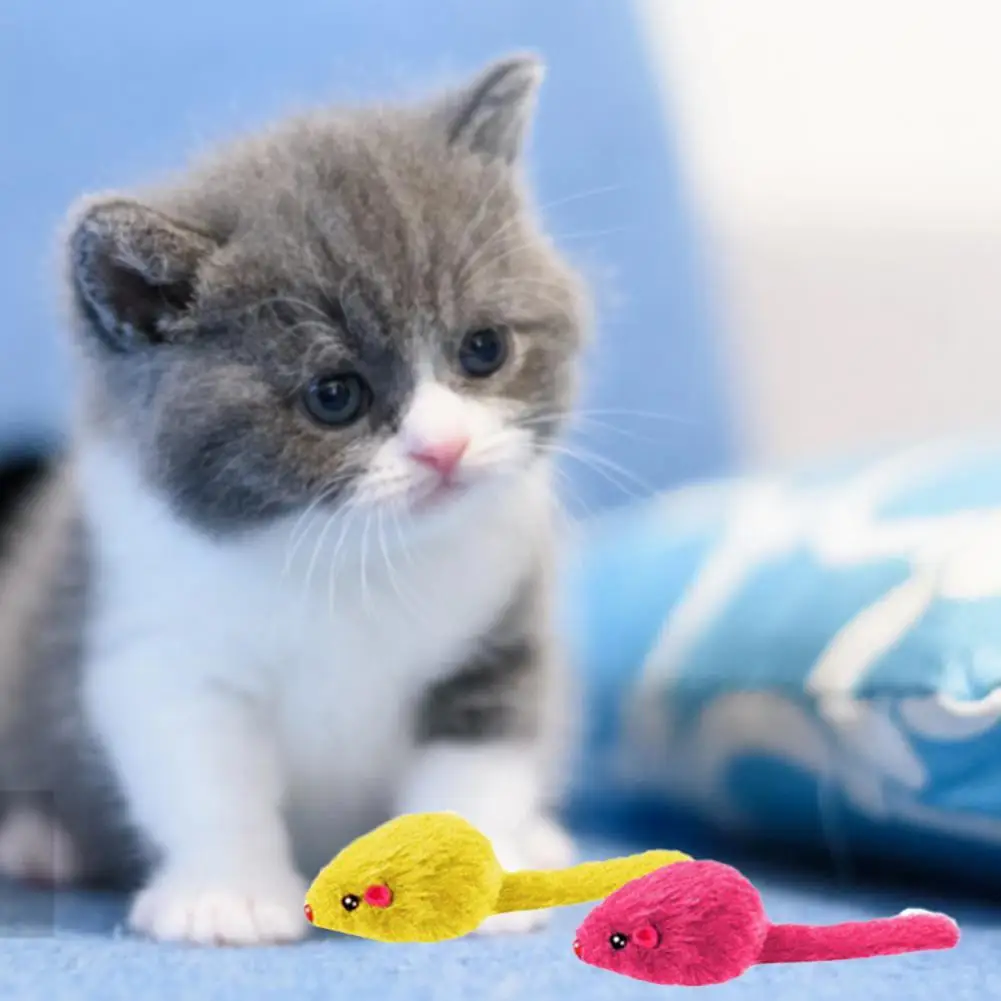 

10Pcs Cute Pet Plush Toys Lovely Shape Multi-colored Kitten Toys Cat Plush Mice Spring Toy Set