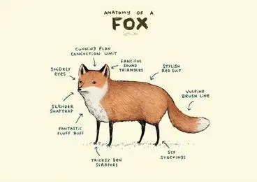 Больше стилей lamingo Fox Sloth Sheep анатомия модульные картины художественный принт