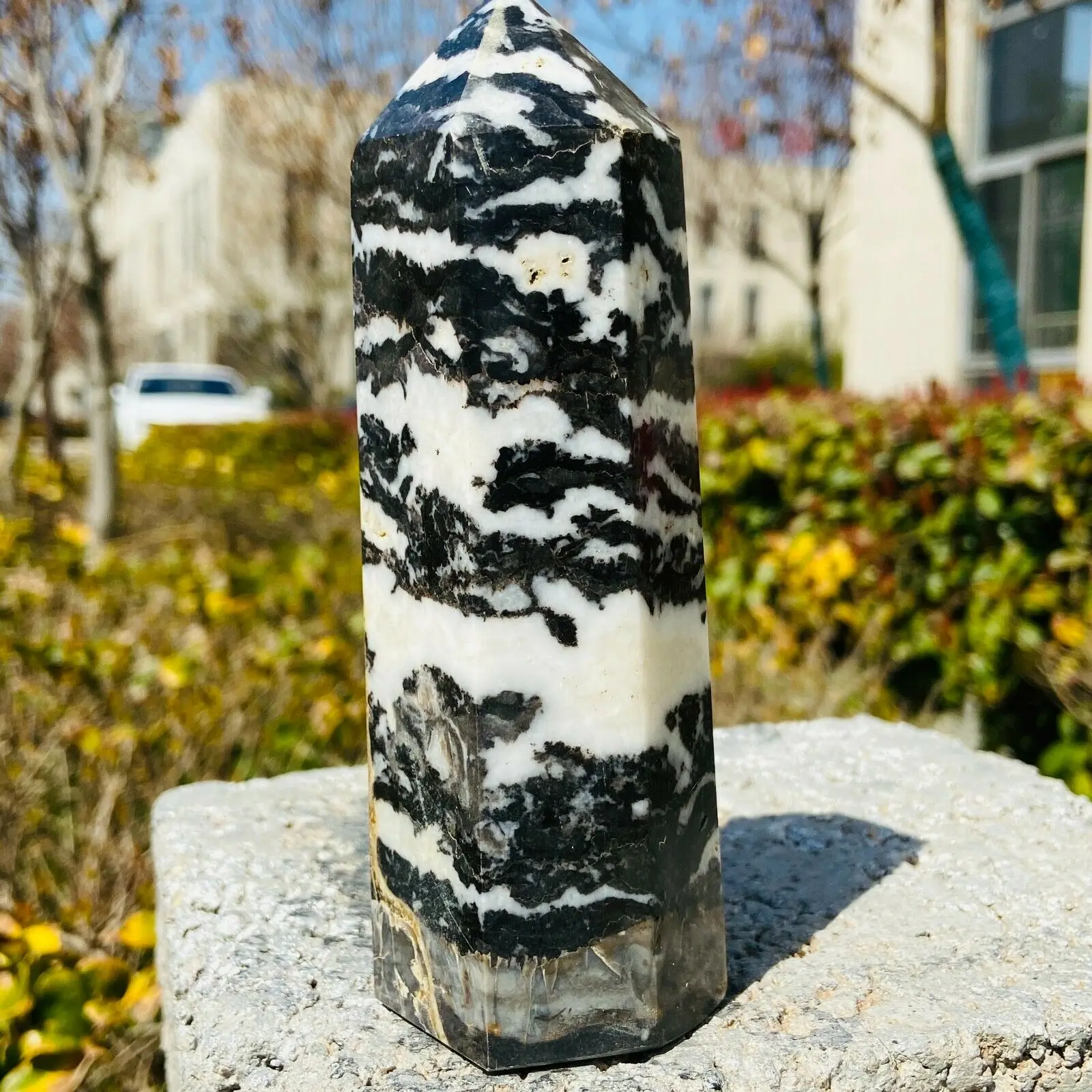 

Natuurlijke Zwarte Zebra Stone Crystal Quartz Toren Reiki Healing Kamer Decoratie Woondecoratie Scepter Gift
