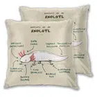 Декоративный чехол для диванной подушки