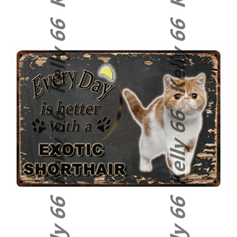 Домашние животные каждый день лучше с кошкой металлический знак Kelly66 оловянный
