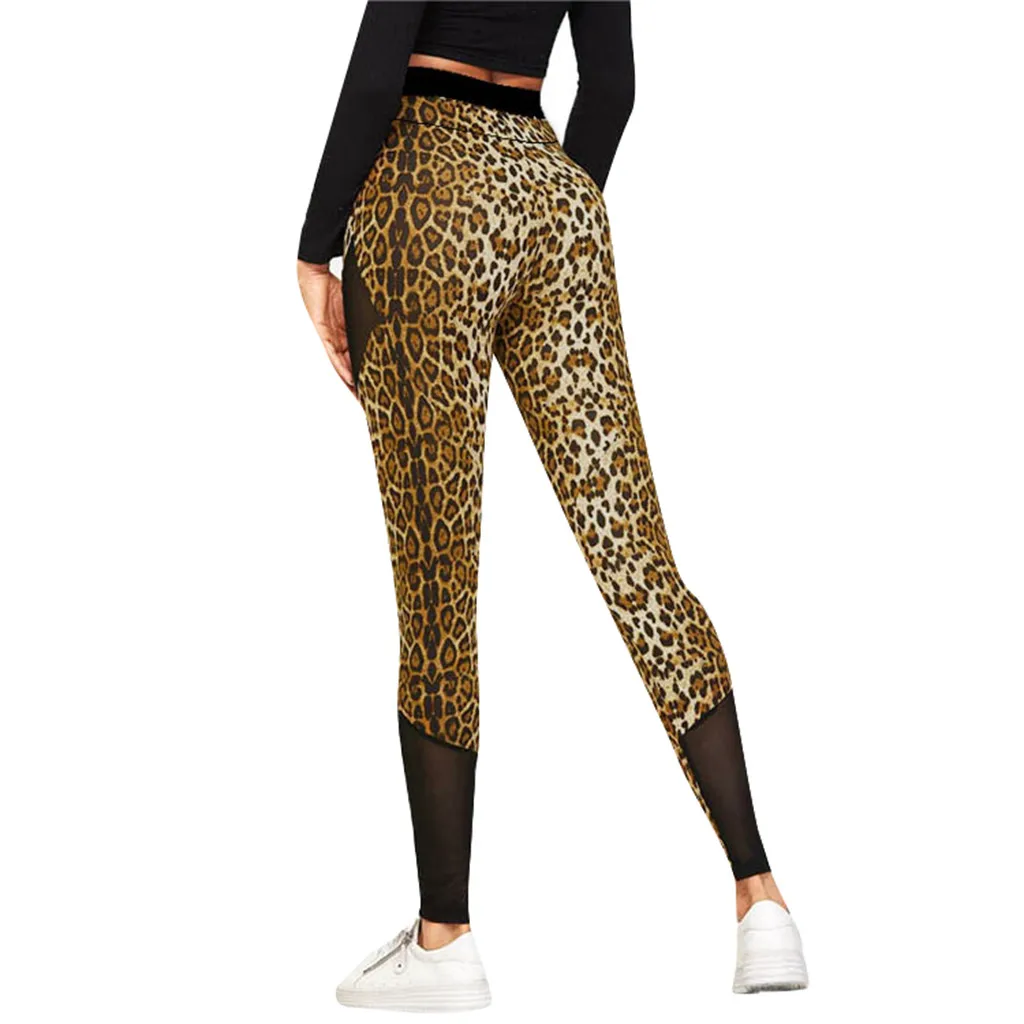 Сексуальные сетчатые штаны для йоги женские повседневные леопардовые леггинсы с