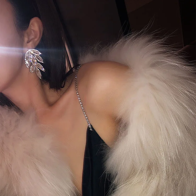 

Ювелирные изделия, крутой ветер, вспышка, бриллиант, высокая чувствительность, ретро-порт, стильные серьги