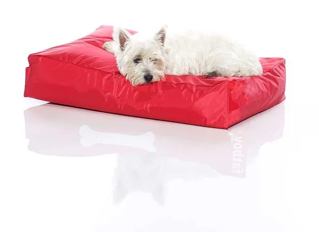 Красная очень большая подушка для собачьей бобы кровать кошки собаки мягкая