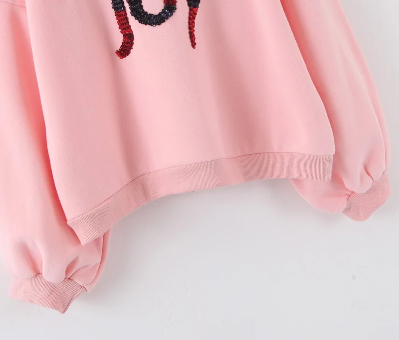 

2019 Autumn Women Casual Long Sleeve Pullover Sweatshirts Letter Female Jumper Women Tracksuits Sportswear Clothes Sweatshirt