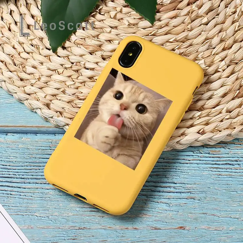 

Cute Cat Phone Case Yellow Candy Color for iPhone 11 12 mini pro XS MAX 8 7 6 6S Plus X SE 2020 XR