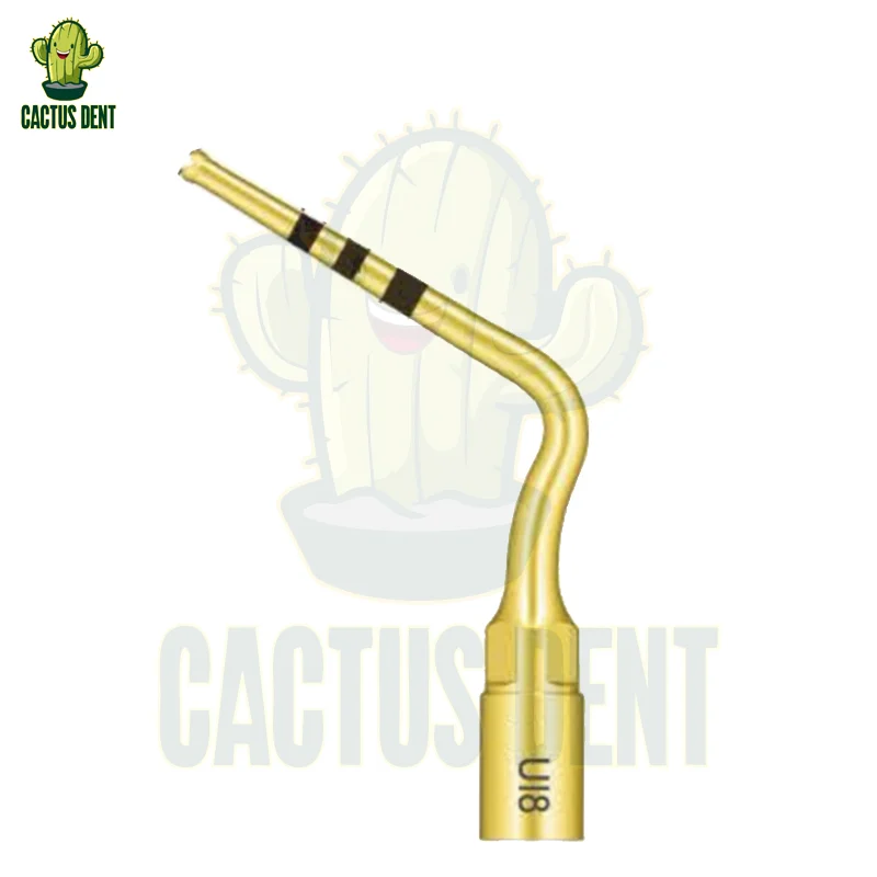 Стоматологические хирургические наконечники инструментов Ультразвуковой