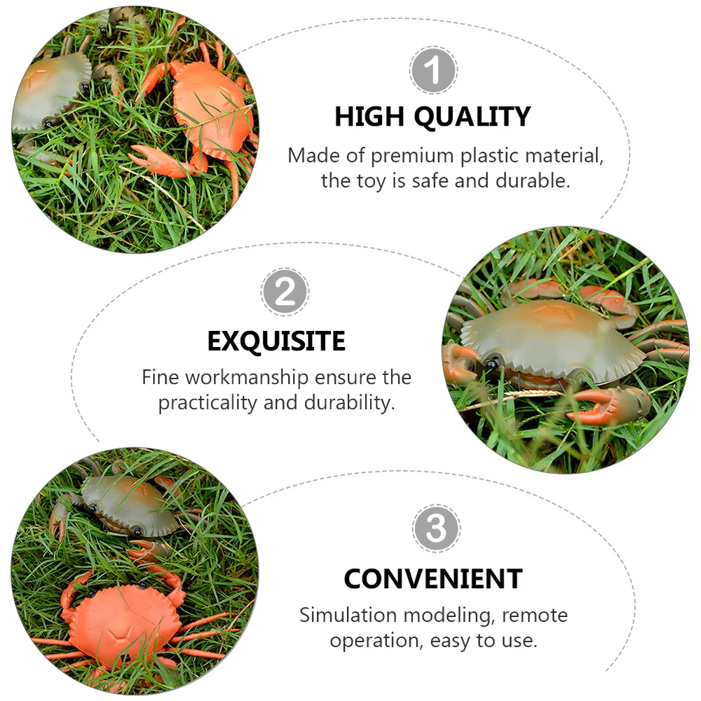 

1 Set Lifelike Remote Controller Crab Creative Electric Animal for Kids