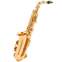flofair fas 568 western wind instruments professional saxophonist grade group performance gold alto saxophone in e flat