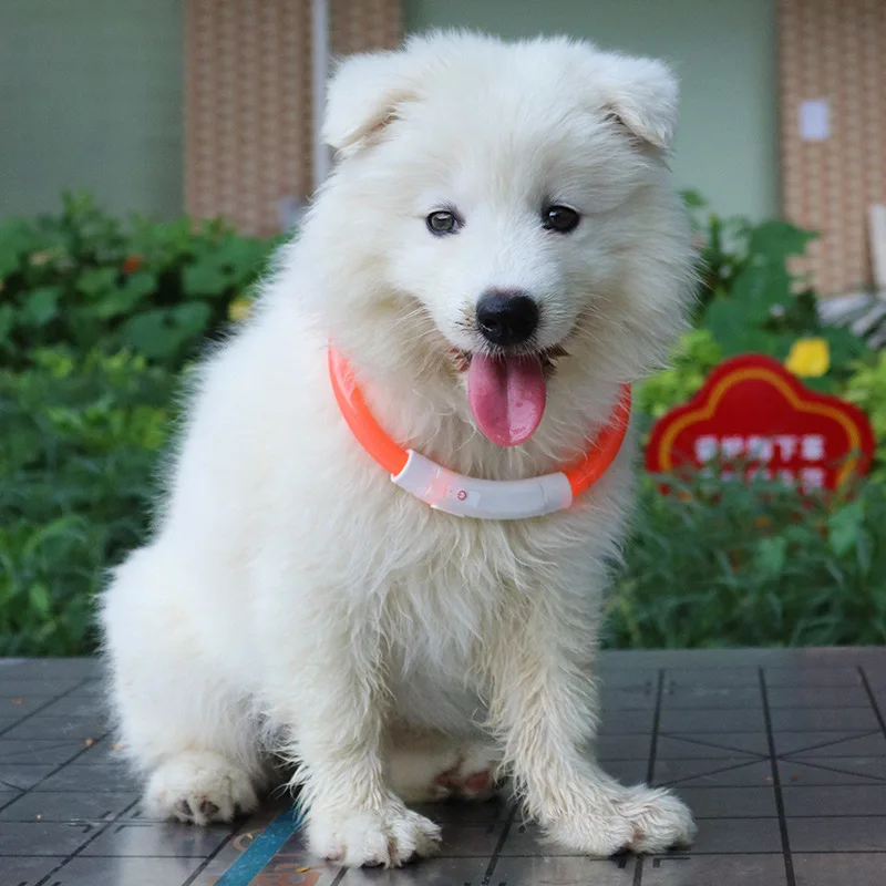 Светодиодный Usb-ошейник для собак ошейник ночные ошейники светящиеся