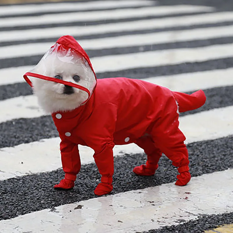 

Pet Products
