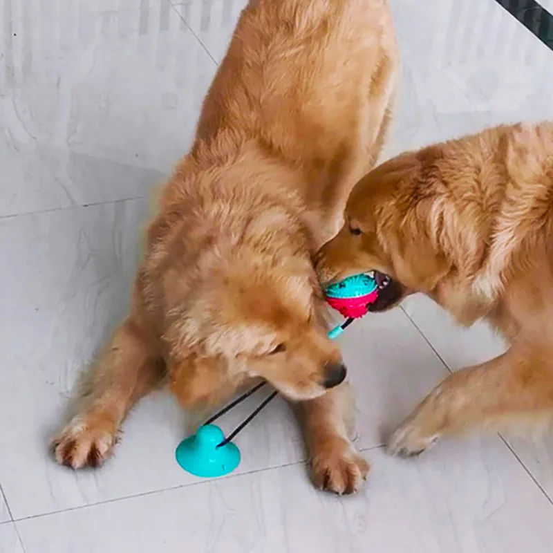 

Pet Interactive Sucker Toy Pulling Force Gnawing Clean Teeth Dog Chewing Rubber Ball Training Cat Ball Dog Rope Leaking Food