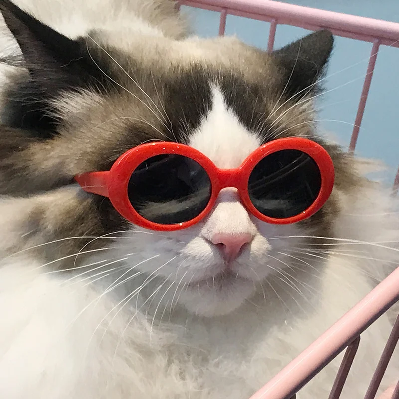 Кошачьи очки прохладно домашних животных маленький собачьи игрушка для