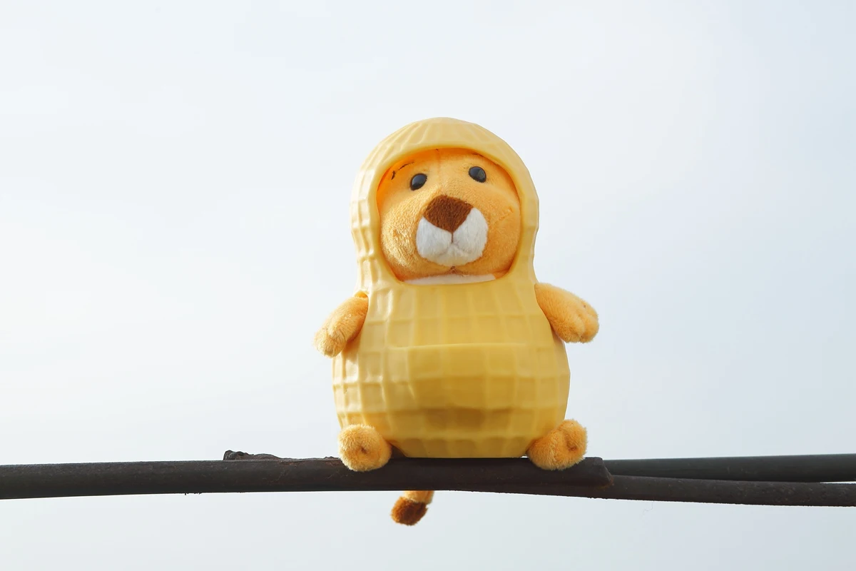 

Peanut Mouse Cute Funny Creative Doll Healing Birthday Gift Children's Day Sending Children to Send Friends to Sleep