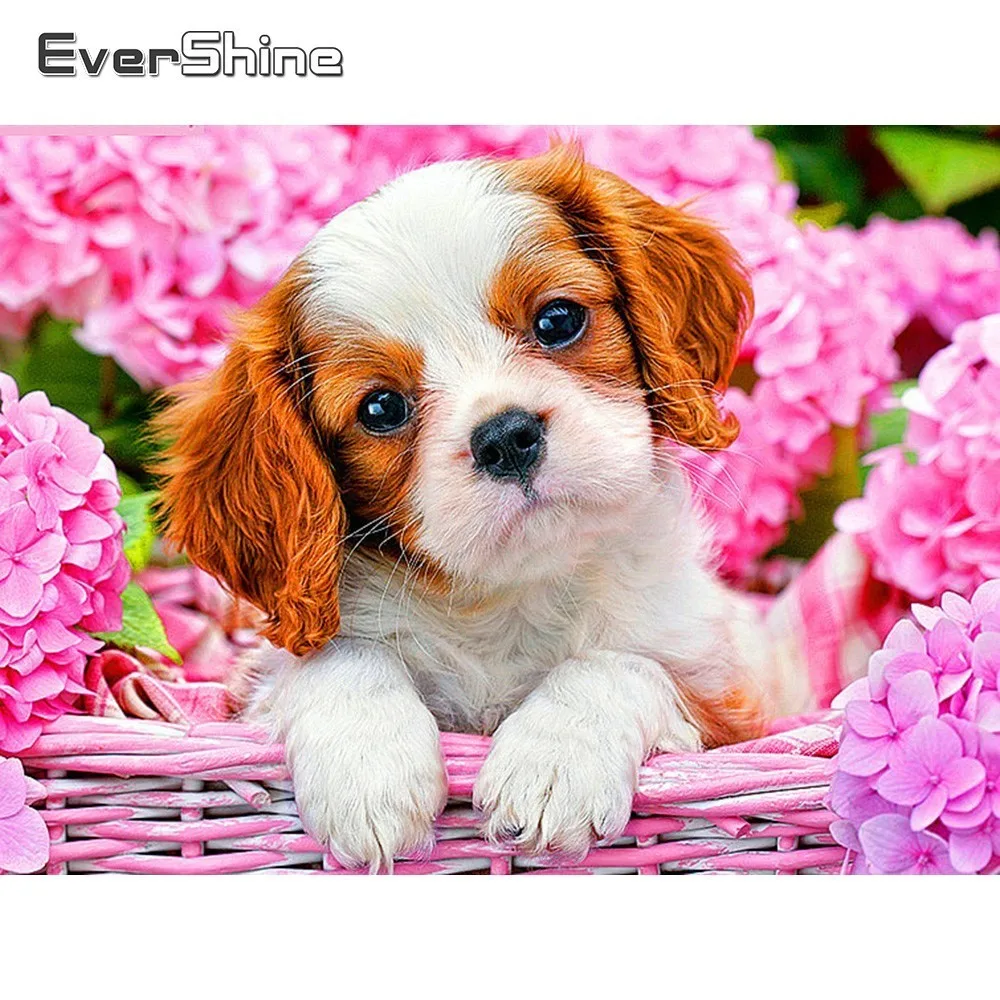 Evershine алмазная живопись с квадратными камнями фотография животных Стразы