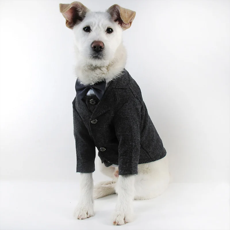 

Одежда для собак, свадебное официальное пальто/жилет, джентльменский костюм-смокинг для кошек, наряд для домашних питомцев маленького разм...