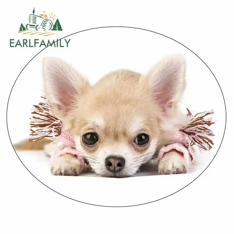 

EARLFAMILY 13 см x 11,5 см, необычная наклейка для автомобиля, наклейка «сделай сам» на заднее лобовое стекло, бампер, украшение для кузова автомобил...