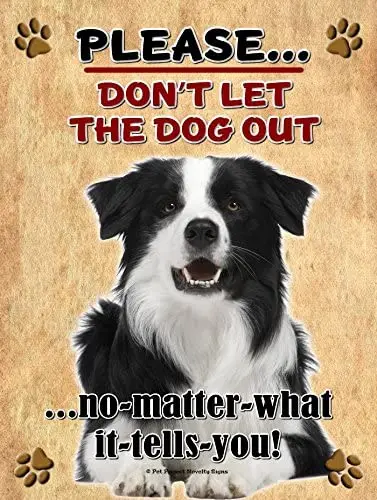 

Collie - Don't Let The Dog Out... - New 9X12 Realistic Pet Image Aluminum Metal Outdoor Dog Pet Sign. Will Not Rust!