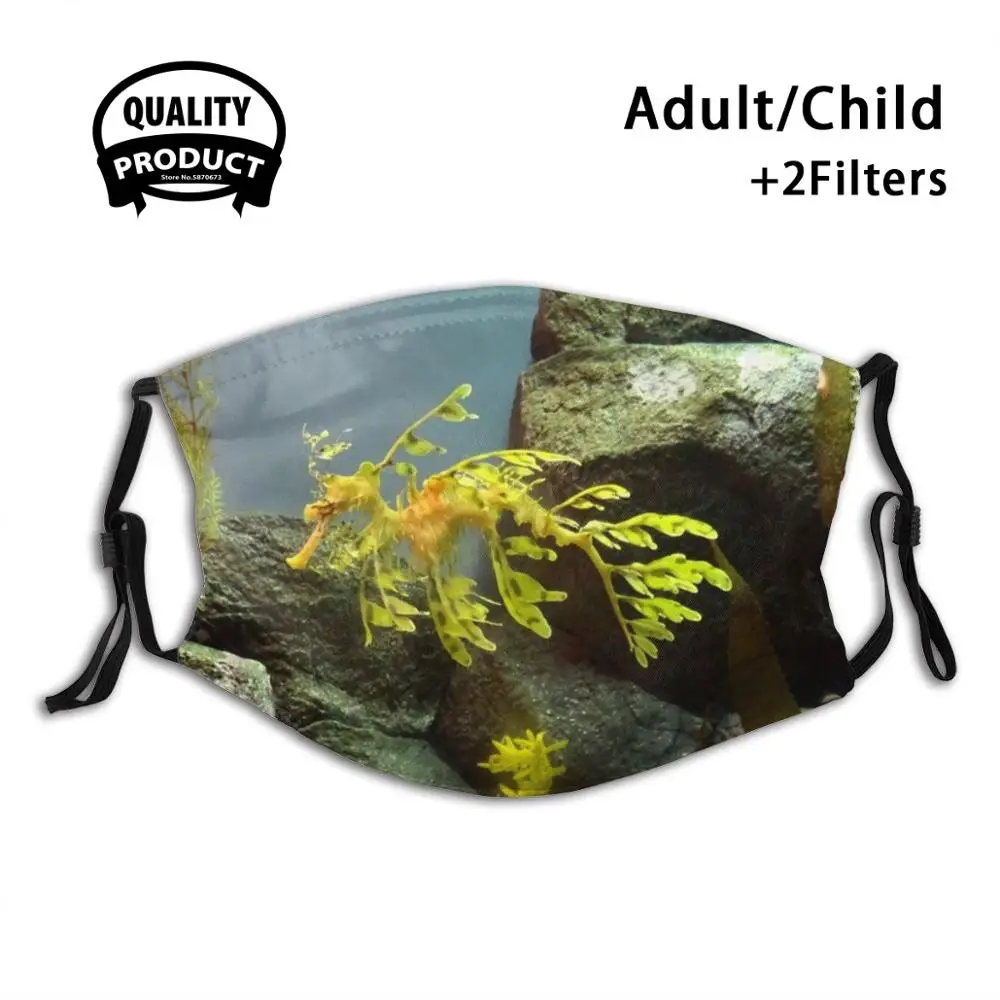 

Многоразовая маска для рта Leafy Sea Dragon с камнями, моющаяся маска с фильтром, маски для лица против пыли, морской дракон, морской окунь, морской ...