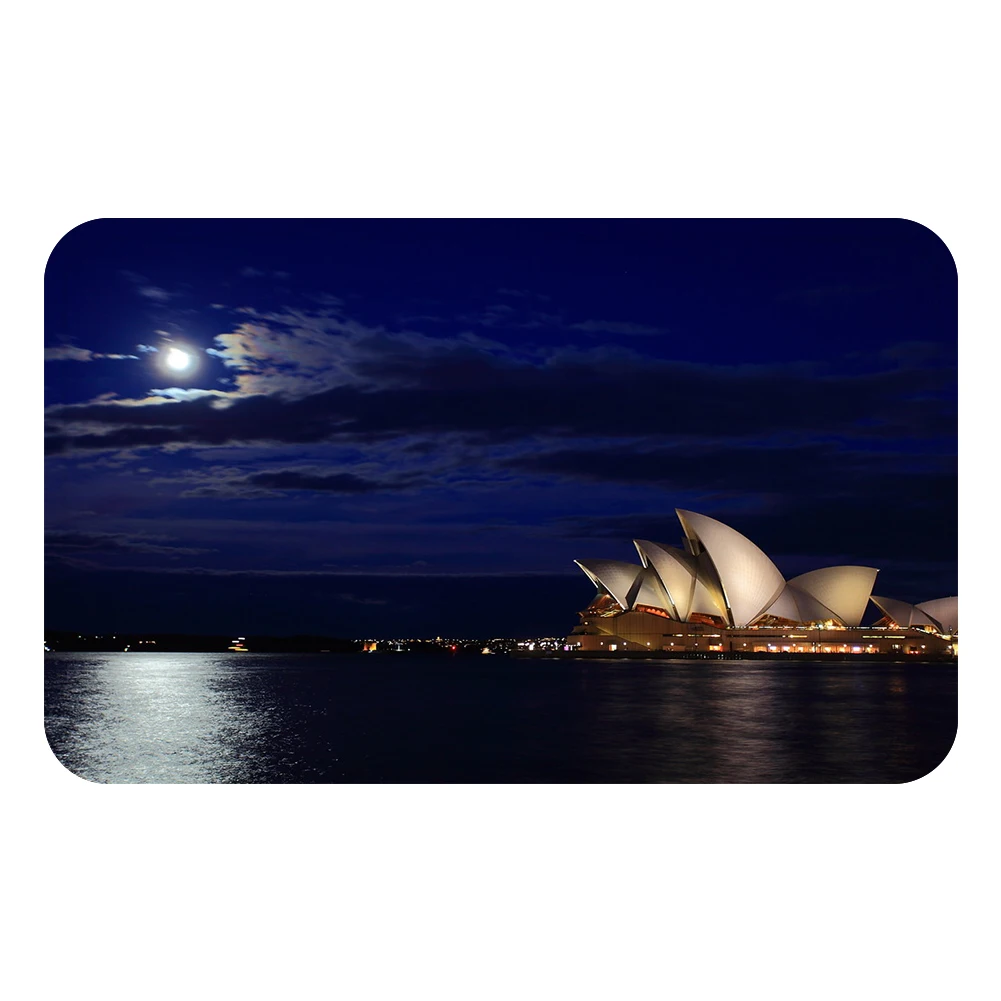 Sydney Opera House Australia Doormat Bath Kitchen Carpet Decorative Anti-Slip Mats Room Car Floor Bar Rugs Door Home Decor Gift | Дом и сад